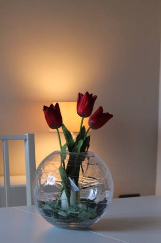 Veglie Italy Booking Discount booking.com