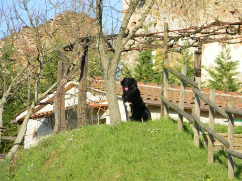 Serre di Rapolano Italy Booking Discount booking.com