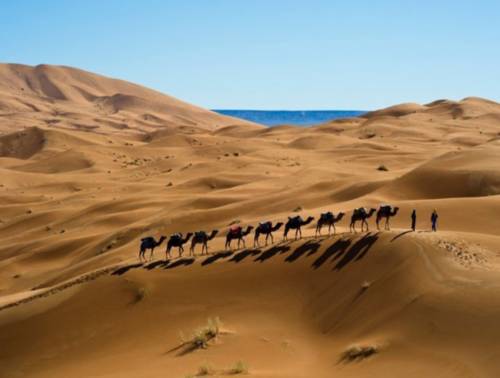 Merzouga Morocco Booking Discount booking.com