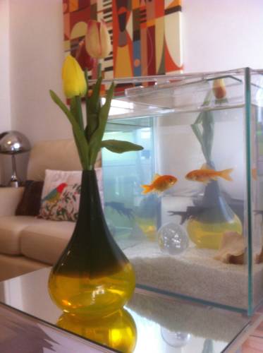 Lisboa Portugal Booking Discount booking.com