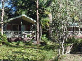 Corindi Beach Australia Booking Discount agoda.com