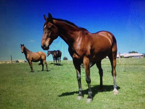 émeraude Australie Réservation Réduction booking.com