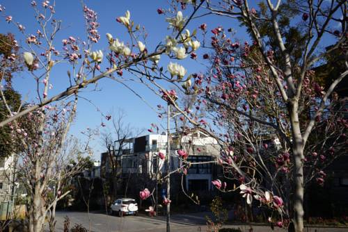 Dali China Booking Discount booking.com