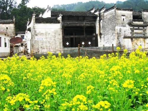 Wuyuan China Booking Discount booking.com