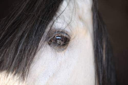 Comines-Warneton Belgium Booking Discount booking.com