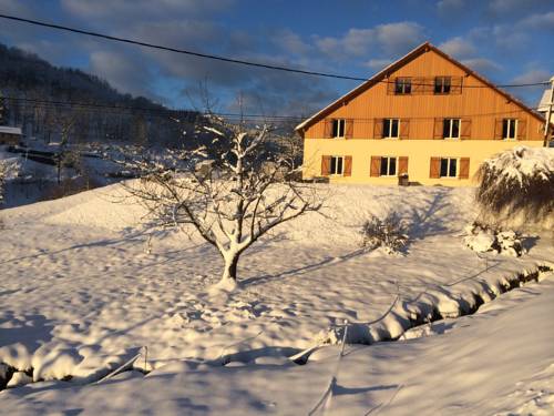 La Bresse France Réservation Réduction booking.com