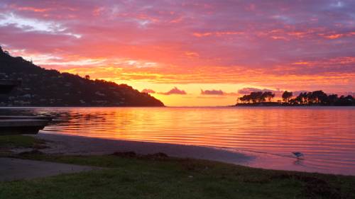 Tairua Nouvelle-Zélande Réservation Réduction booking.com