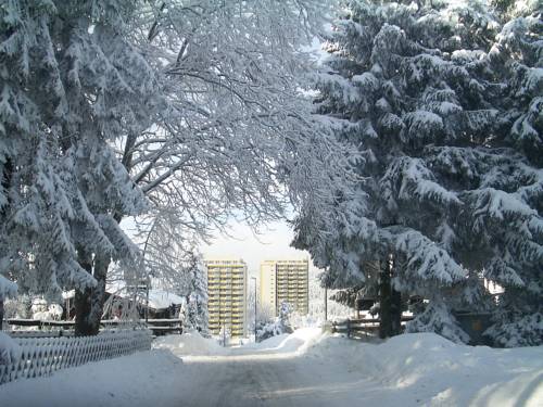 Braunlage Allemagne Réservation Réduction booking.com