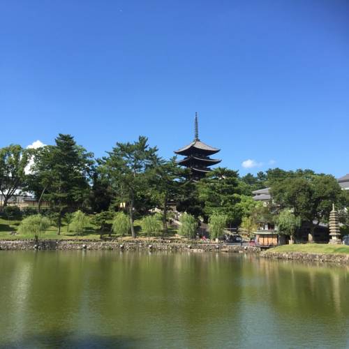 Nara Japon Réservation Réduction booking.com