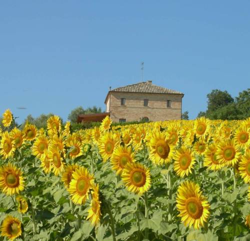 Corridonia Italy Booking Discount booking.com