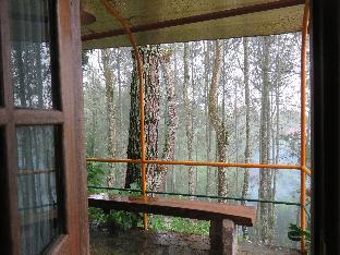 Semarang Indonesia Booking Discount agoda.com