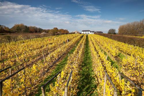 Pendoylan United Kingdom Booking Discount agoda.com