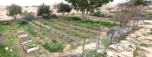 Mashabbe Sade Israel Booking Discount booking.com