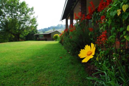 Hillcrest Afrique du Sud Réservation Réduction booking.com