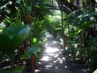 Morro De Sao Paulo Brazil Booking Discount agoda.com