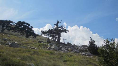 Viggianello Italie Réservation Réduction booking.com