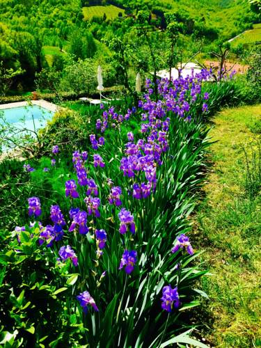 Localita' Melazzano Italy Booking Discount booking.com