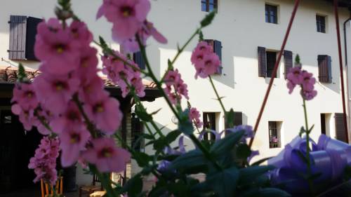 Muscletto Italy Booking Discount booking.com