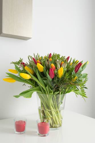 Amsterdam Netherlands Booking Discount booking.com