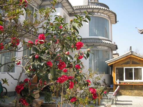 Dali China Booking Discount booking.com