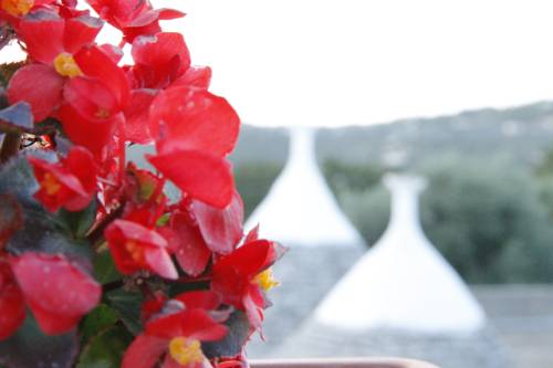 Fasano Italy Booking Discount booking.com