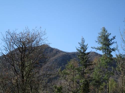 Brissago Valtravaglia Italy Booking Discount booking.com