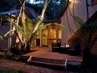 Mount Dandenong Ranges Australia Booking Discount agoda.com