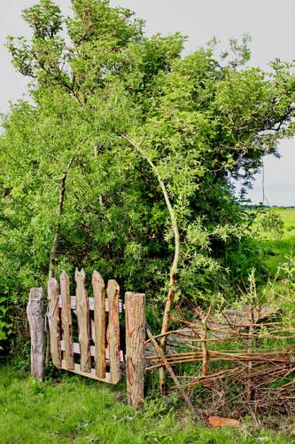 Kuckenshagen Germany Booking Discount booking.com