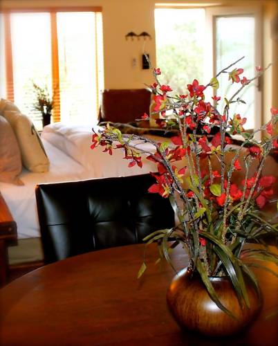 Mico (Texas) United States Booking Discount booking.com