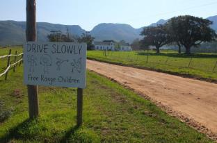 Stanford South Africa Booking Discount agoda.com