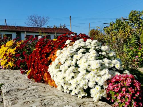 Bulgarevo Bulgaria Booking Discount booking.com