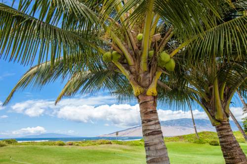 Kihei (Hawaii) United States Booking Discount booking.com