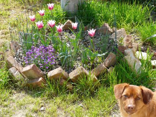 Adria Italie Réservation Réduction booking.com