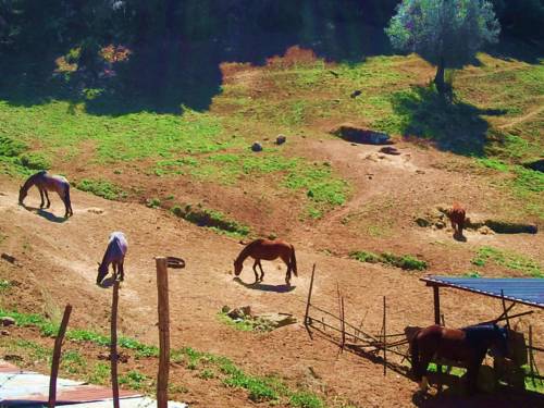 Tuscania Italie Réservation Réduction booking.com