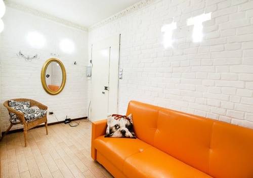 Saint Petersburg Russia Booking Discount booking.com