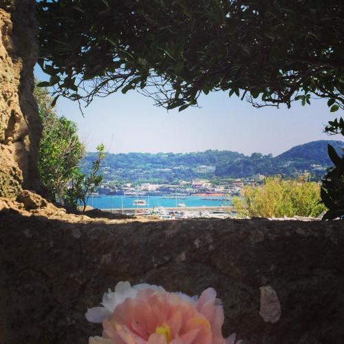 Ischia Island Italy Booking Discount agoda.com