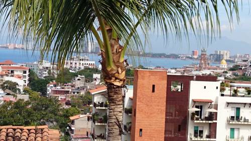 Puerto Vallarta Mexico Booking Discount booking.com