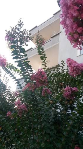 Petrich Bulgarie Réservation Réduction booking.com