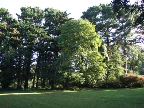 Chudleigh United Kingdom Booking Discount booking.com