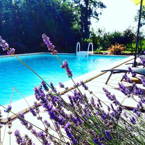 Sainte-Severe France Booking Discount agoda.com