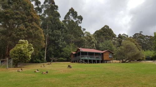 North Walpole Australia Booking Discount agoda.com