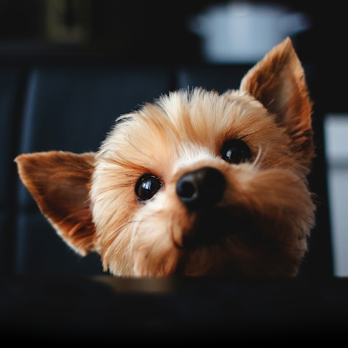 Awara Japan Booking Discount agoda.com