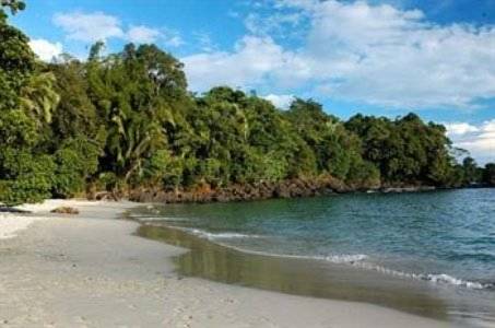 Manuel Antonio Costa Rica Réservation Réduction booking.com