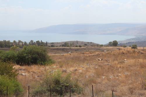 Chorazim Israël Réservation Réduction booking.com