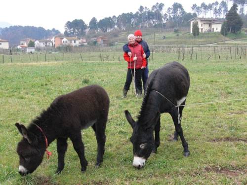 Lucques Italie Réservation Réduction booking.com