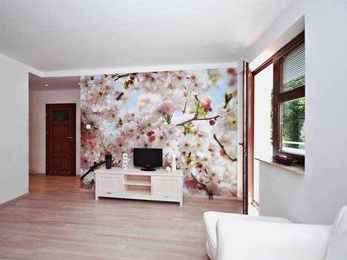 Sopot Poland Booking Discount booking.com