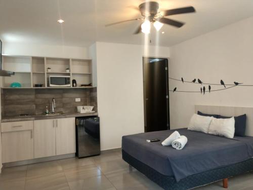 Playa Del Carmen Mexico Booking Discount agoda.com