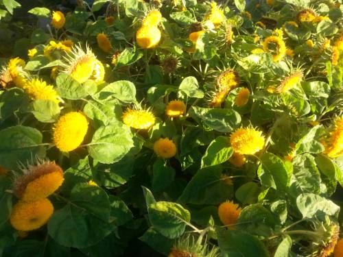 Gdynia Pologne Réservation Réduction booking.com