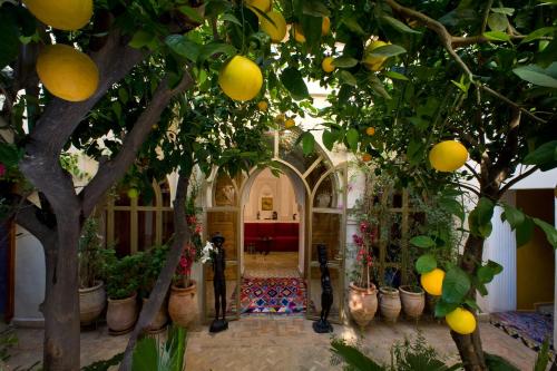 Marrakech Morocco Booking Discount agoda.com