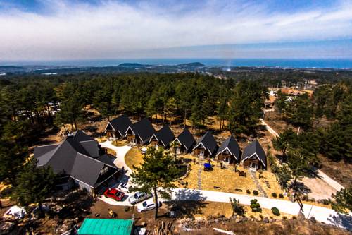 Jeju South Korea Booking Discount booking.com